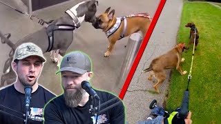 Dog Trainers React to Dog Fight Videos [upl. by Nnuahs]