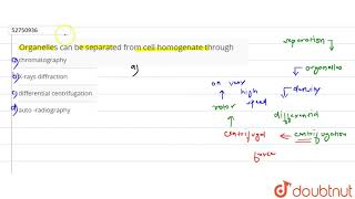 Organelles can be separated from cell homogenate through  12  CELL  THE UNIT OF LIFE  BIOLO [upl. by Eniluqcaj211]