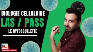 Le CYTOSQUELETTE  🧫 Microfilaments dActine Filaments Intermédiaires et Microtubules [upl. by Lednam]