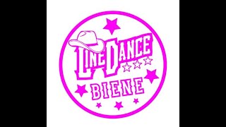 Not Fair Lernvideo Teach amp Dance Line Dance Biene Teil 2 [upl. by Baskett]