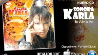 CLASICOS DE LOS 80 MIX  KARLA DE ARGENTINA 2014 [upl. by Enttirb848]