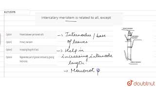 Intercalary meristem is related to all except [upl. by Ahsel]