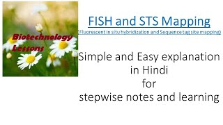 Fluroscent in situ hybridization FISH and Sequence tag site STS Mapping Physical mapping 3 [upl. by Birck]