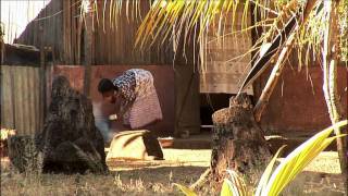 Madagascar  Chapitre 1  Analalava [upl. by Adnopoz701]