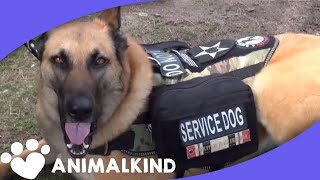 Watch service dog calm war vets PTSD reaction [upl. by Sale]