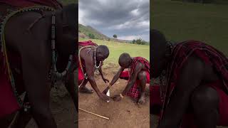 Masai Mara tribe teach how to make fire masaimara maasaimara maasaitribe [upl. by Rapsag]