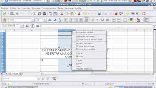 insertar columnas y filas entre celdas combinadas [upl. by Ahsilahk]