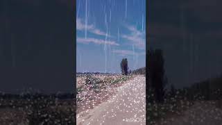 Hailstones💦💦💦💦💦 youtubeshorts funny viralvideo funnyvideo foryou [upl. by Mert418]