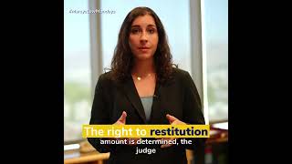 Marsys Law Episode 4  The Right to Restitution [upl. by Ahseka]