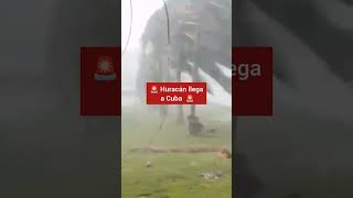 Fuertes vientos del Huracán arrancan árboles de raíz 😭hurricane alert [upl. by Azar324]