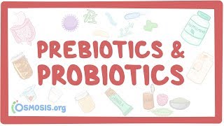 Prebiotics amp probiotics [upl. by Dibri161]