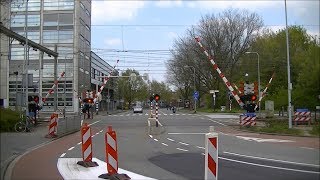 Spoorwegovergang Groningen Europapark  Dutch railroad crossing [upl. by Seuqirdor]