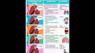 Adventitious lung sounds [upl. by Brandyn380]