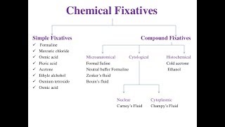 تحضير عينات Fixatives in Histopathology [upl. by Rolyab]