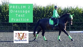 Learn The Prelim 2 British Dressage Test 2016 [upl. by Dew]