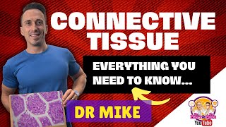 Connective Tissue  Everything you need to know [upl. by Names]