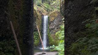 Wiesendanger Falls is a 50 foot waterfall on Columbia River Gorge Cascade Locks Oregon [upl. by Nynahs183]