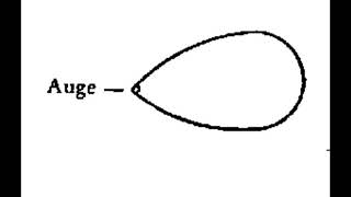 Husserl riduzione fenomenologica e fenomenologia idealisticotrascendentale [upl. by Butterworth]