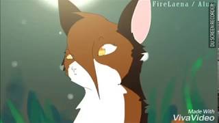 WARRIOR CATS  Spottedleaf and Firestar  Impossible [upl. by Ahsimaj]