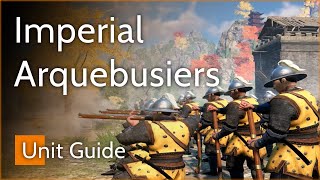 BIG DAMAGE  Imperial Arquebusiers Guide  Conquerors Blade [upl. by Fons]