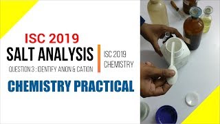 Inorganic Salt Analysis  ISC 2019 Chemistry Practical Important Suggestion HindiUrdu [upl. by Jacobine]