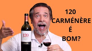 VINHO 120 CARMÉNÈRE RESERVA ESPECIAL É BOM [upl. by Magda]