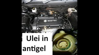 Antigelul se amestica cu ulei rezolvam problema Vauxhallopel Insignia ECOTEC 18 petrol [upl. by Atnahc164]