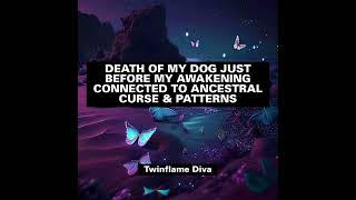 DOG DEATH CONNECTED TO CURSE twinflame ancestralhealing dmdf twinsoul [upl. by Martha]