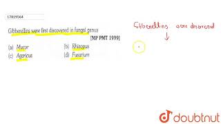 Gibberellins were first discoverded in fungal genus [upl. by Zellner]