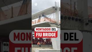 Come era stato posizionato il FIU Bridge  VIDEO COMPLETO👆👆 [upl. by Keheley]