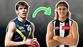 Collingwood are CRAZY if they dont draft this KEY Defender  Harry OFarrell [upl. by Sancha]