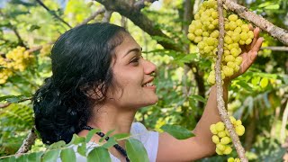 Preserving and enjoying seasonal fruits quot Flower Amla quot  Rustic Style [upl. by Ardehs]