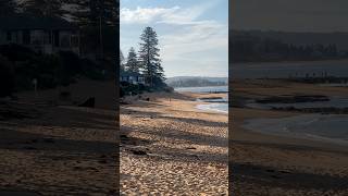 Collaroy Beach Sydney Australia youtubeshorts beach seaside sydney [upl. by Yojal]