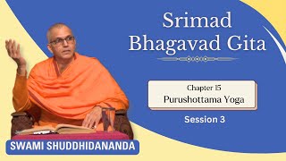 Srimad Bhagavad Gita  Chapter 15  Session 3 Swami Shuddhidananda [upl. by Parish]