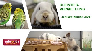 Kleintiervermittlung  JanuarFebruar 2024 Tierheim Hannover TV [upl. by Bbor]