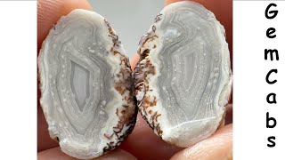 Group of Arizona Gila Bend Mountain Agates Cut Open to Reveal the Beauty Inside 08 01 24 A [upl. by Niklaus]