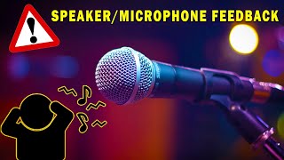 SpeakerMicrophone feedback  Sound Effect [upl. by Jacoby]