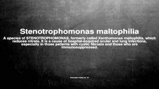 Medical vocabulary What does Stenotrophomonas maltophilia mean [upl. by Toomin483]