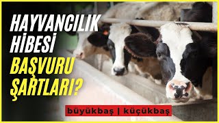 Hayvancılık Hibe ve Teşvik Başvuru Şartları Nelerdir  Çiftçi Kayıt Sitemi  Devlet Destekli [upl. by Halika]