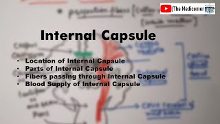 Internal Capsule  Anatomy [upl. by Brotherson]