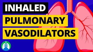 Inhaled Pulmonary Vasodilators Medical Definition  Quick Explainer Video [upl. by Anide406]