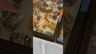 88th Annual Gem amp Mineral Show sacramento [upl. by Anrat]