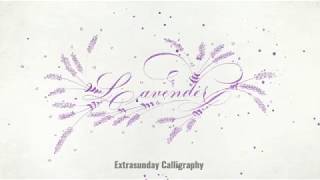 Calligraphy Flourishing Art Time Lapse [upl. by Bran780]