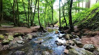 Summer Hike at Ninglinspo  waterfalls in Belgium Ardennes [upl. by Artnoed916]