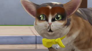 GrayStillPlays The Sims 4 But its Only the Pets Spleens and Tonsils compilation [upl. by Marlette461]