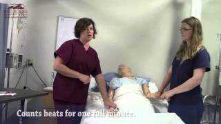 NUA101 Count and Record Radial Pulse for Nurse Aides [upl. by Llehcsreh867]