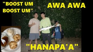 HAWAII CATCH CLEAN amp COOK AWA AWA OR LADYFISH HAWAII CATCHampCOOK [upl. by Hsirrap440]