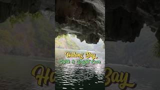 Dark amp Bright Cave Virtual Tour by Riding a Rowing Boat Lan Ha Bay  Halong Bay Vietnam travel [upl. by Macdermot]