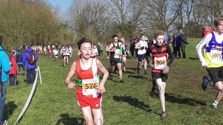 Under 15 Boys English National Cross Country Championships 24022018 [upl. by Enrev825]