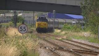 The Merry Wherry Class 50 locomotives charter train at Lowestoft station on 15072023 [upl. by Hannus]